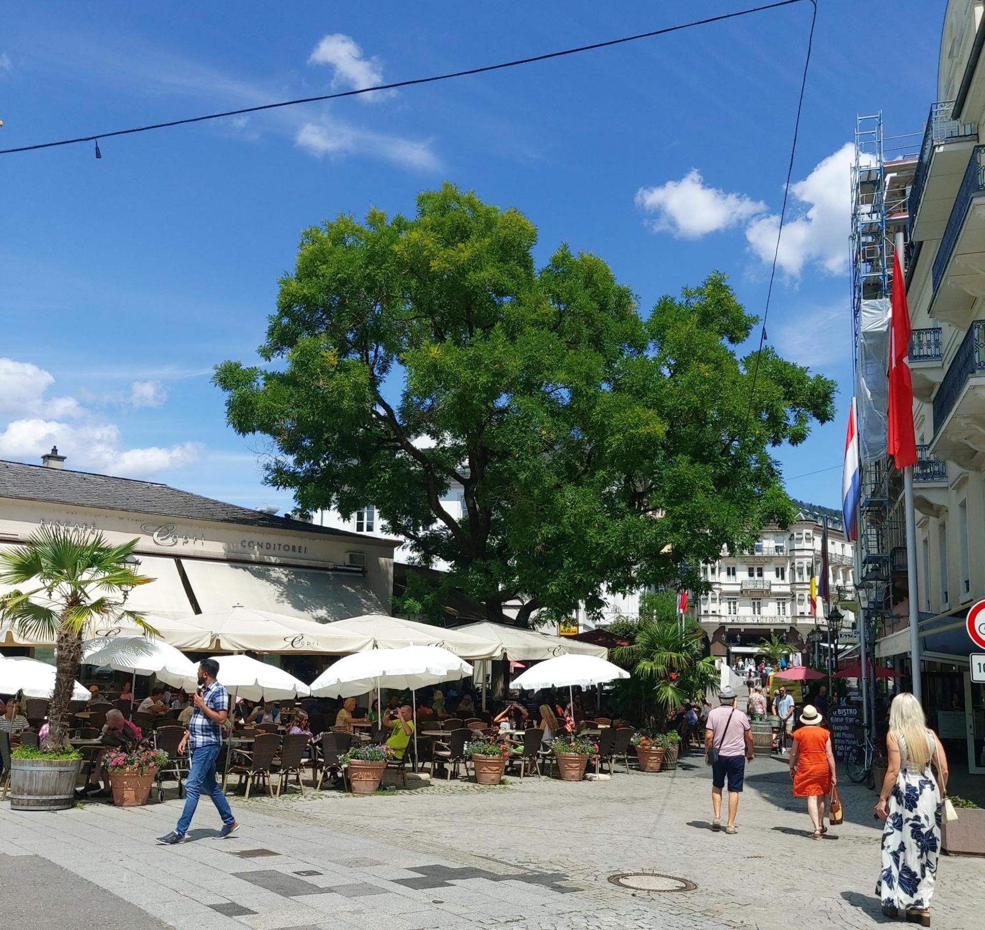 Gemuetliches J&L Apartment Nahe Des Hauptbahnhofes Baden-Baden Kültér fotó