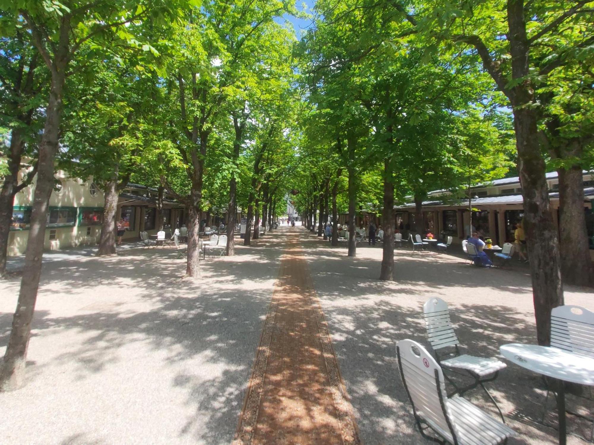 Gemuetliches J&L Apartment Nahe Des Hauptbahnhofes Baden-Baden Kültér fotó
